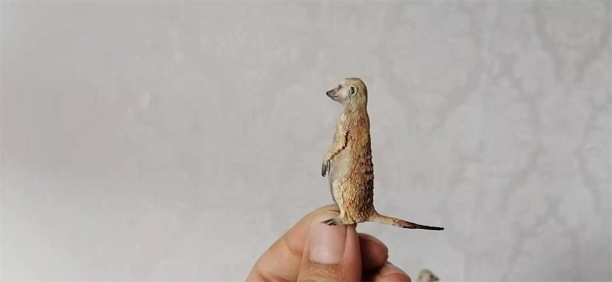 African Elf Meerkat Model