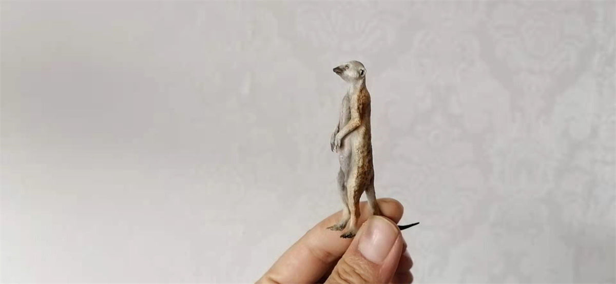 African Elf Meerkat Model