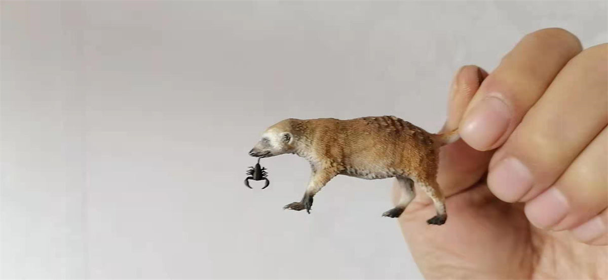 African Elf Meerkat Model