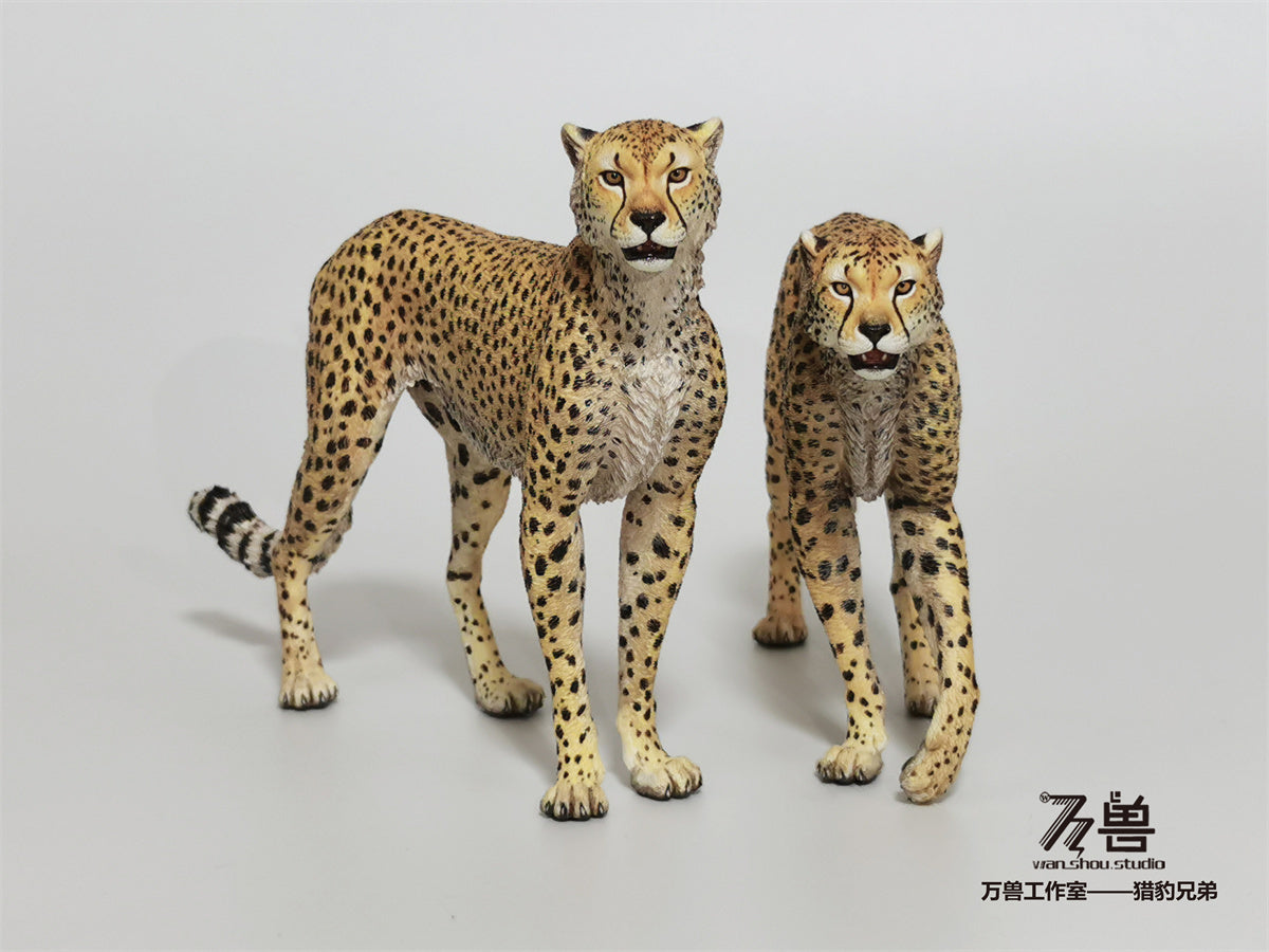 WS Cheetah 2.0 Model