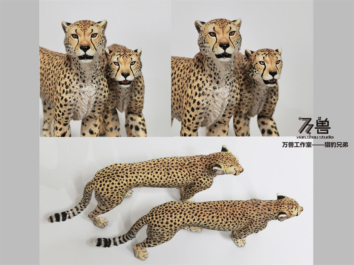 WS Cheetah 2.0 Model