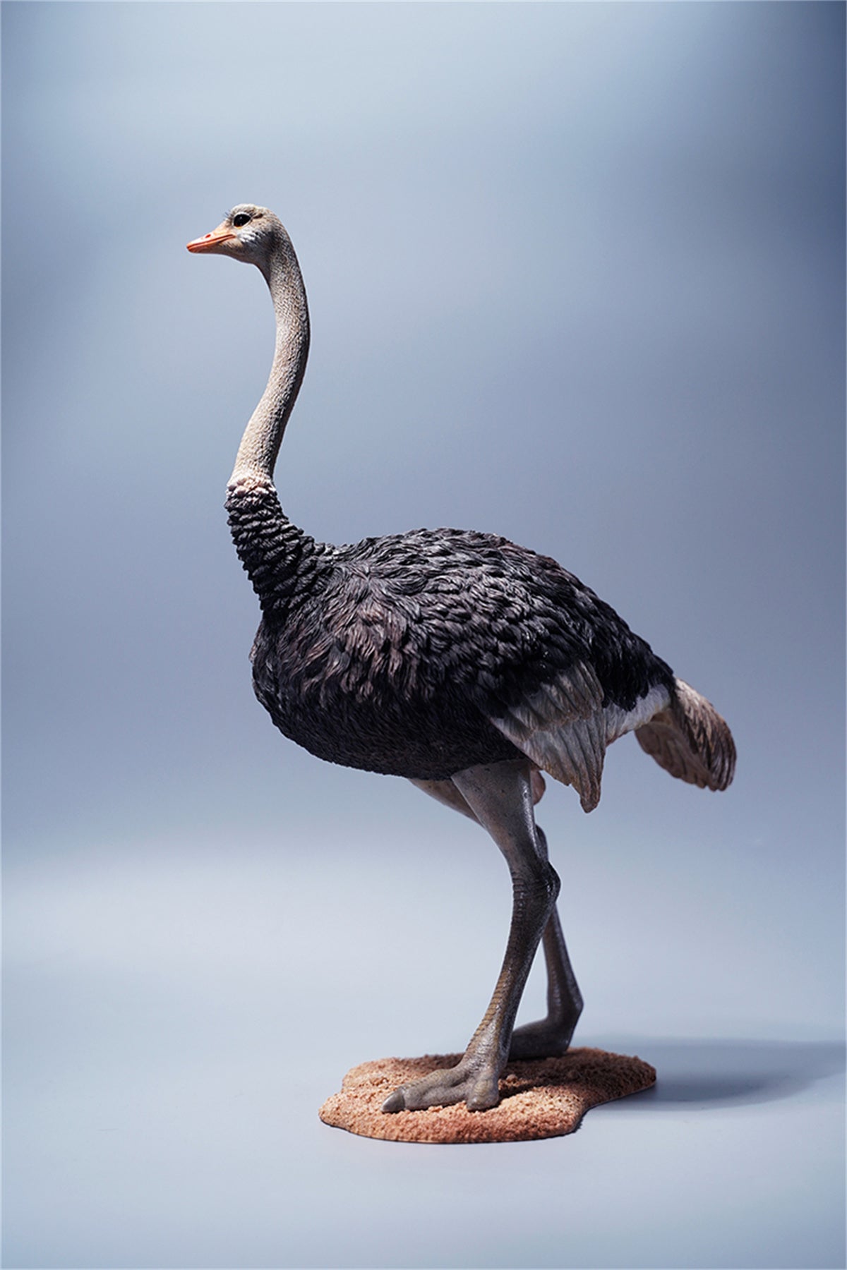 JXK 1/6 Ostrich Model