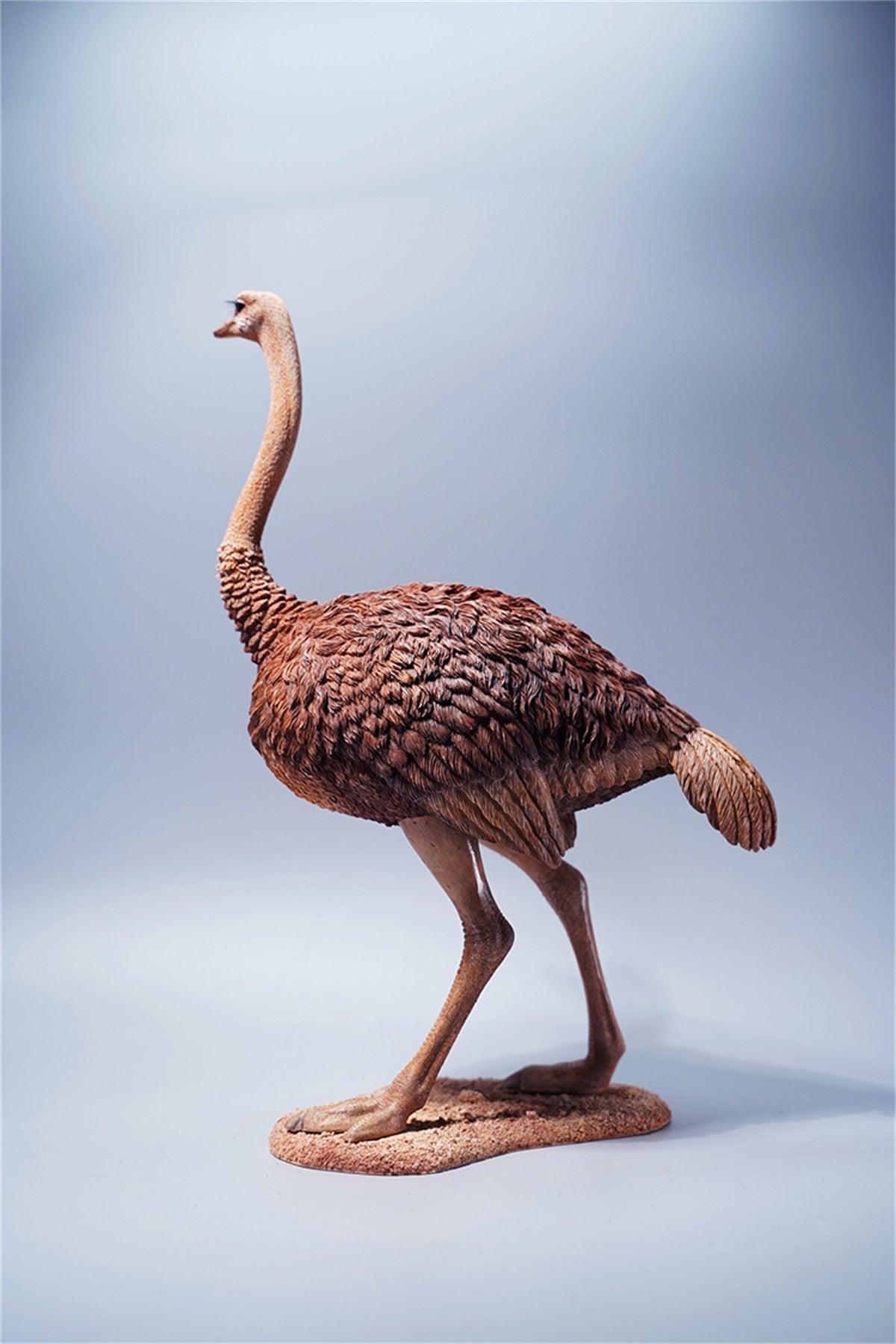 JXK 1/6 Ostrich Model