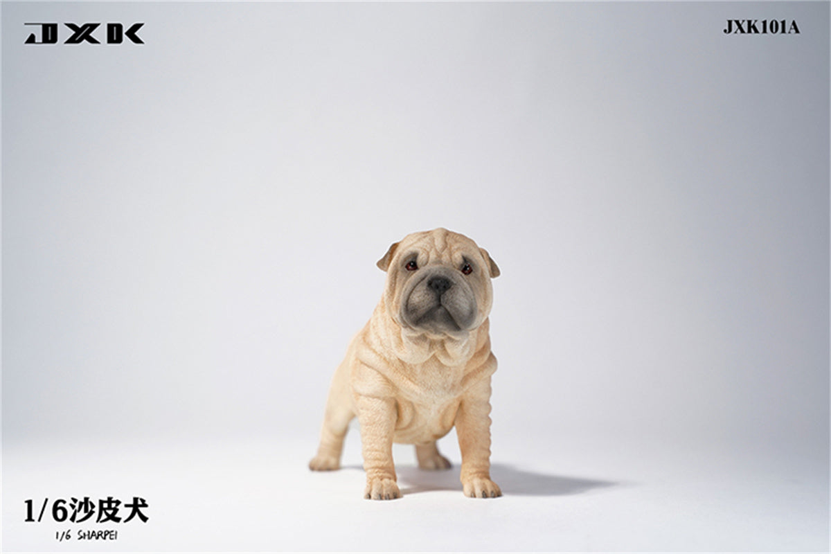 JXK 1/6 Sharpei Dog Model
