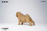 JXK 1/6 Sharpei Dog Model