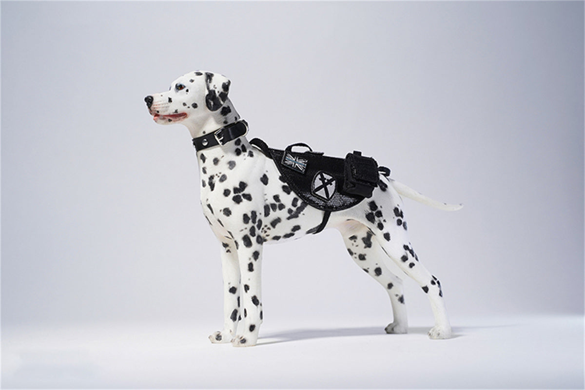 JXK 1/6 Dalmatian Model