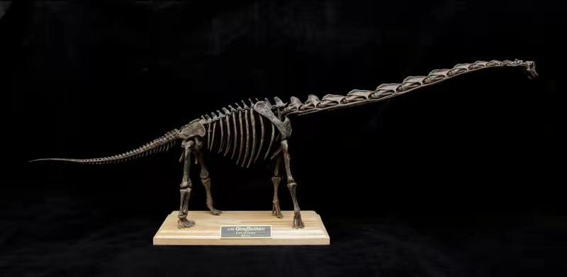 1:35 Scale Giraffatitan Skeleton Model
