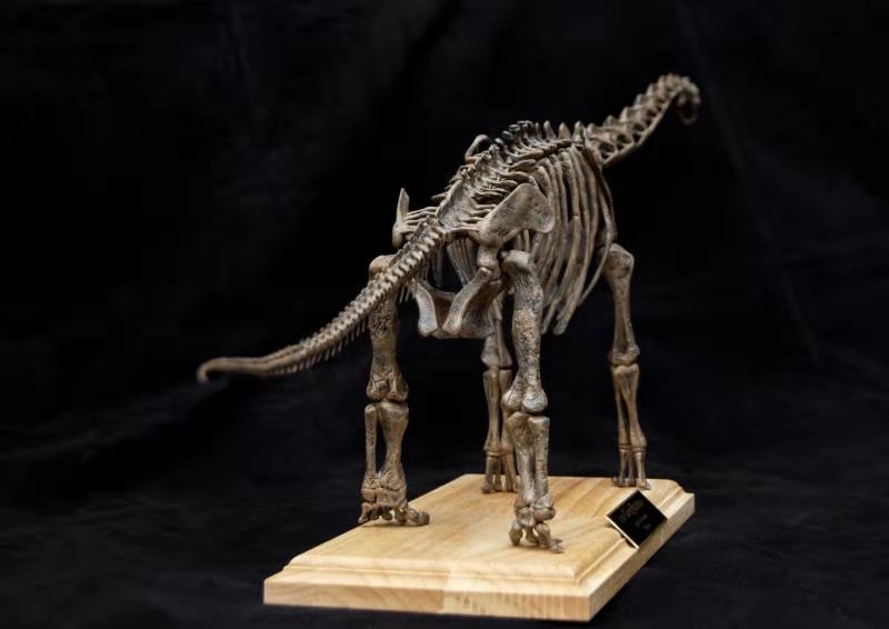1:35 Scale Giraffatitan Skeleton Model