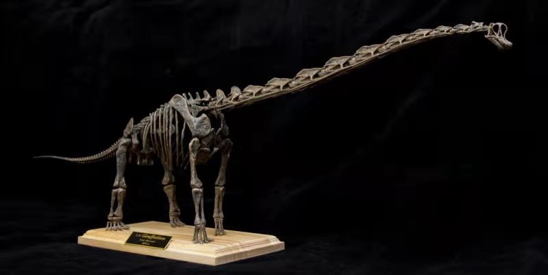 1:35 Scale Giraffatitan Skeleton Model