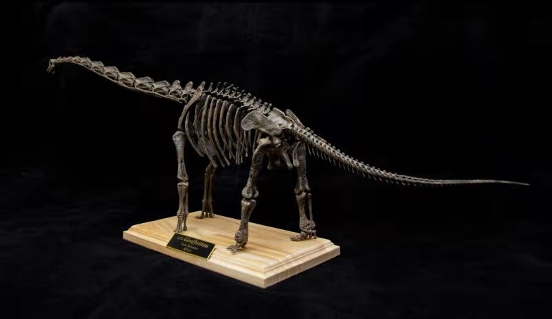 1:35 Scale Giraffatitan Skeleton Model