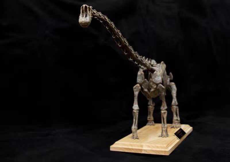 1:35 Scale Giraffatitan Skeleton Model