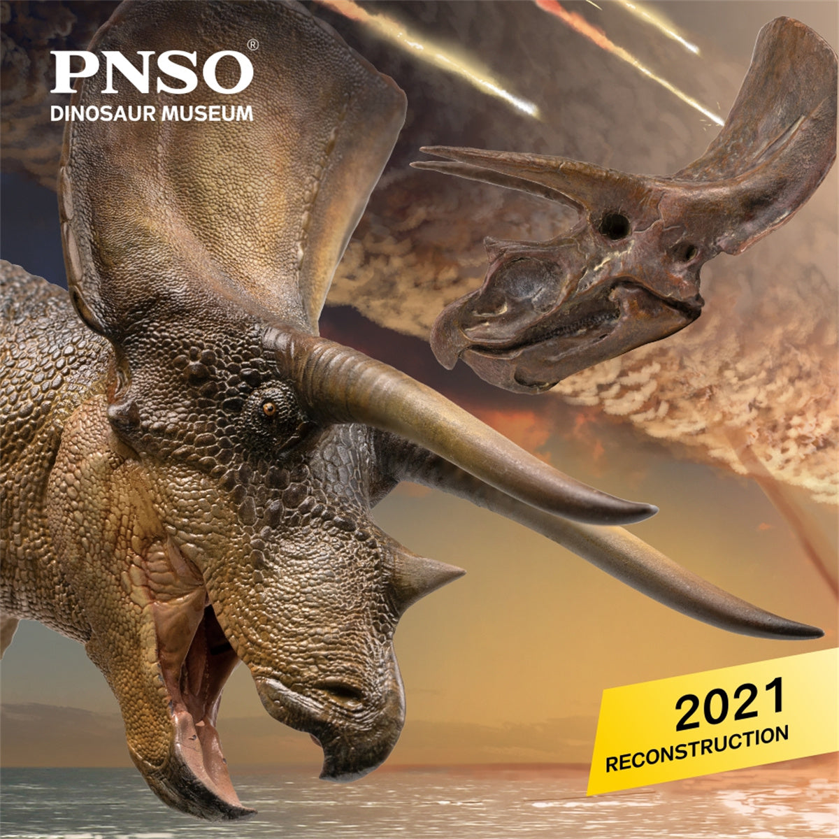 PNSO 1/35 New Triceratops Doyle Model