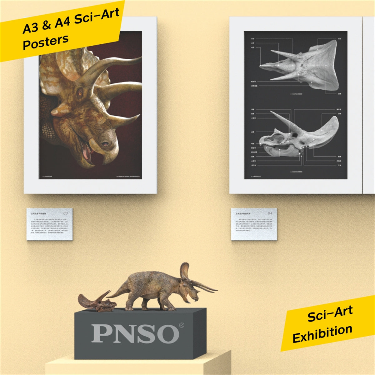 PNSO 1/35 New Triceratops Doyle Model