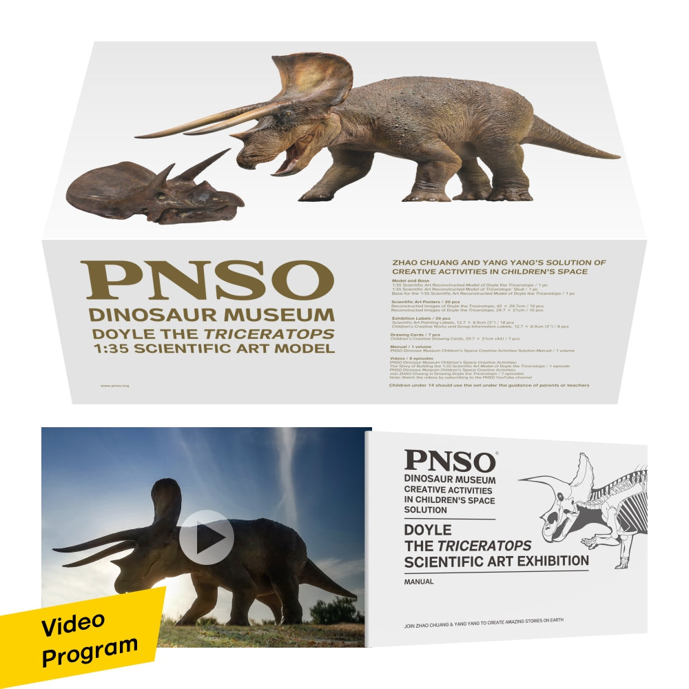 PNSO 1/35 New Triceratops Doyle Model