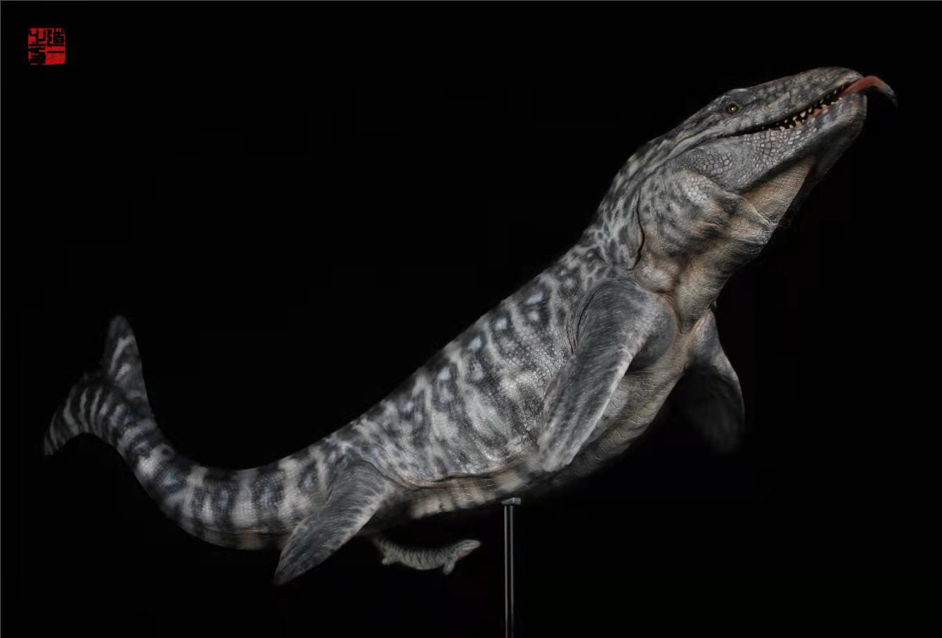 Cen DaoYi Studio 1:15 Scale Prognathodon Statue Unpainted Kit