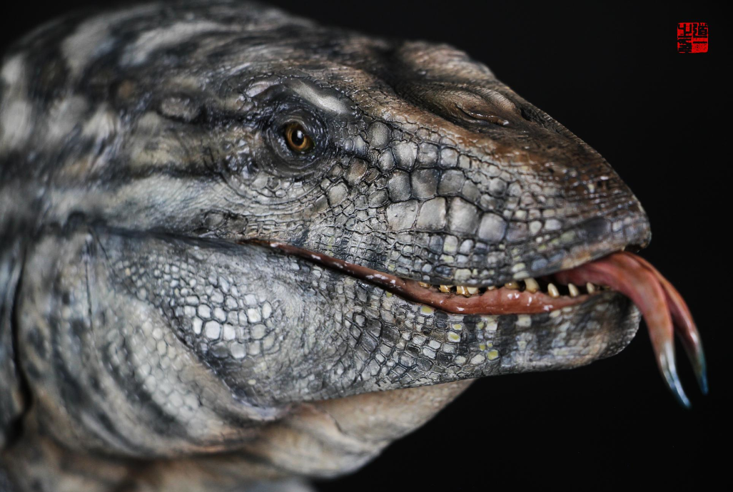 Cen DaoYi Studio 1:15 Scale Prognathodon Statue Unpainted Kit