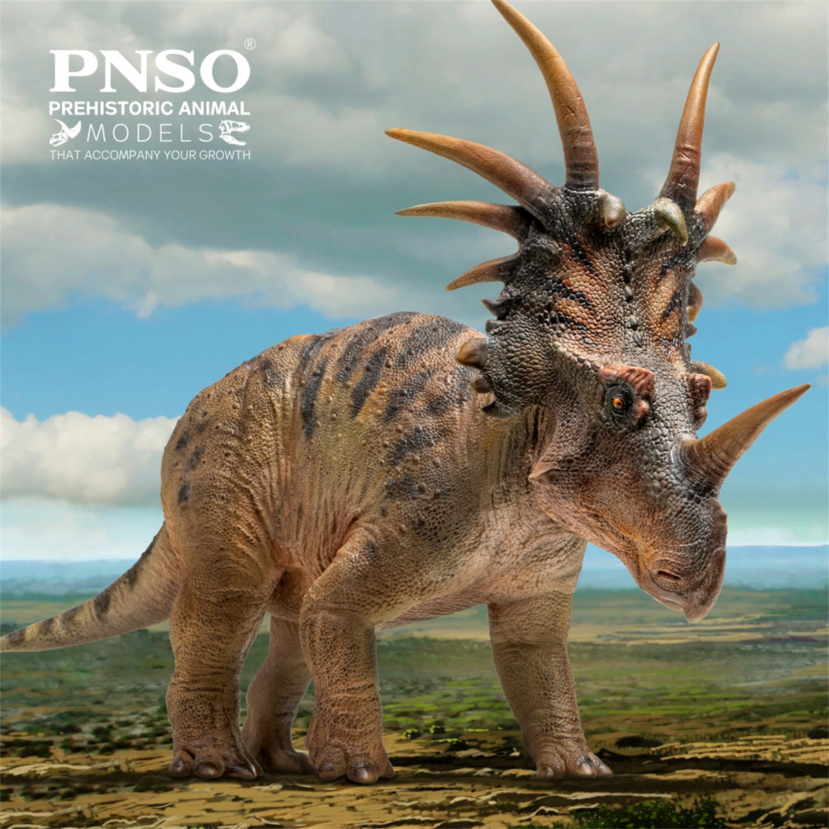 PNSO Styracosaurus Anthony Model