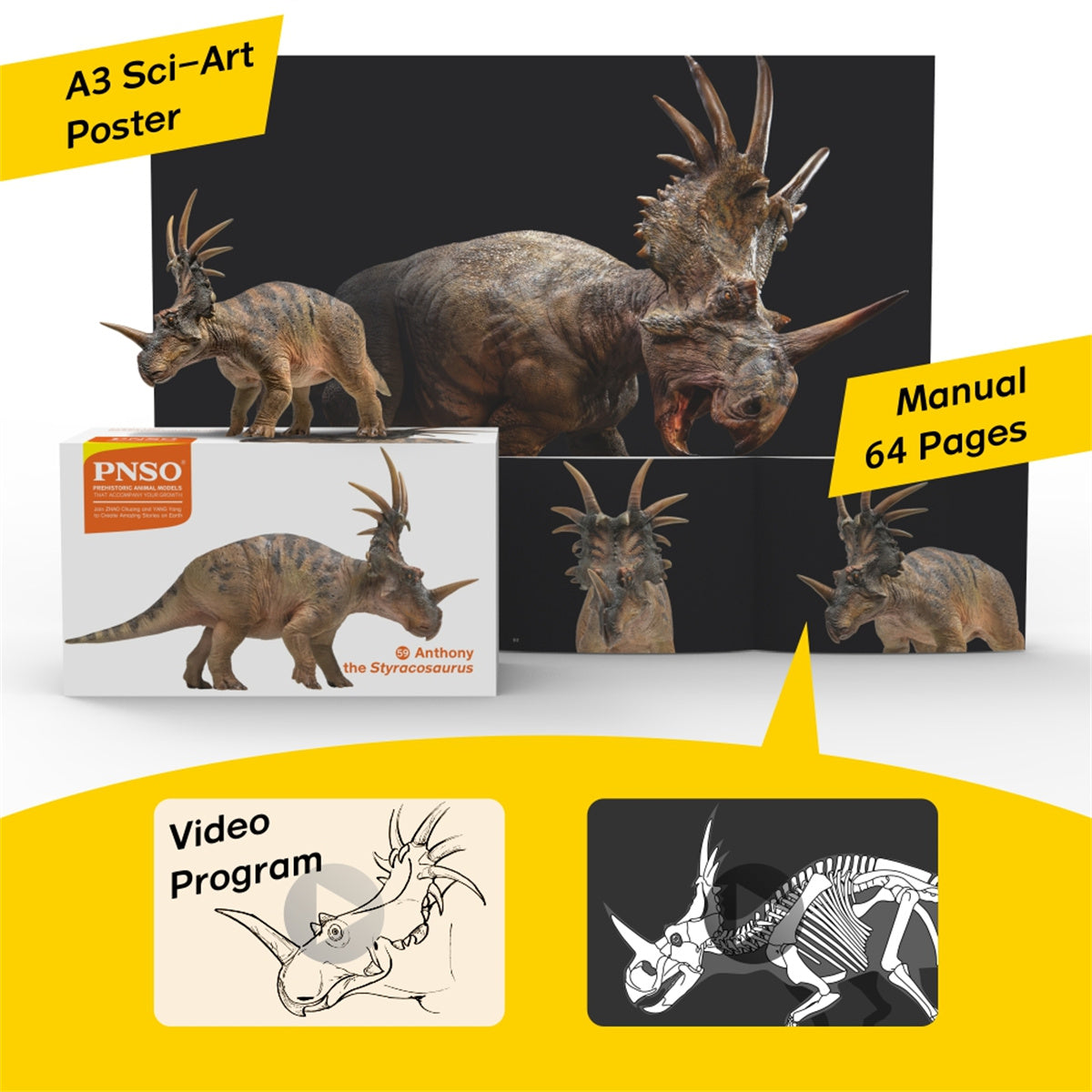 PNSO Styracosaurus Anthony Model