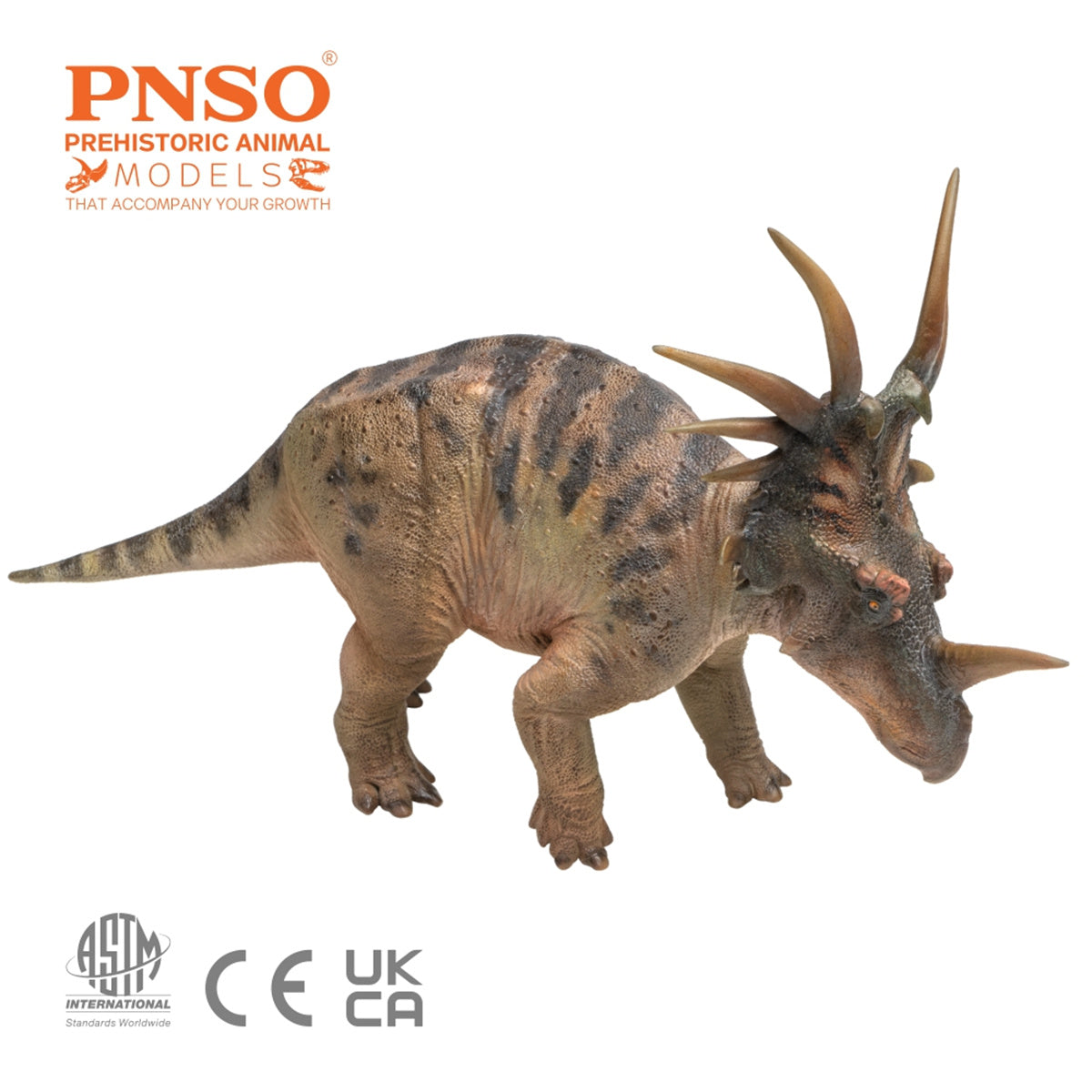 PNSO Styracosaurus Anthony Model