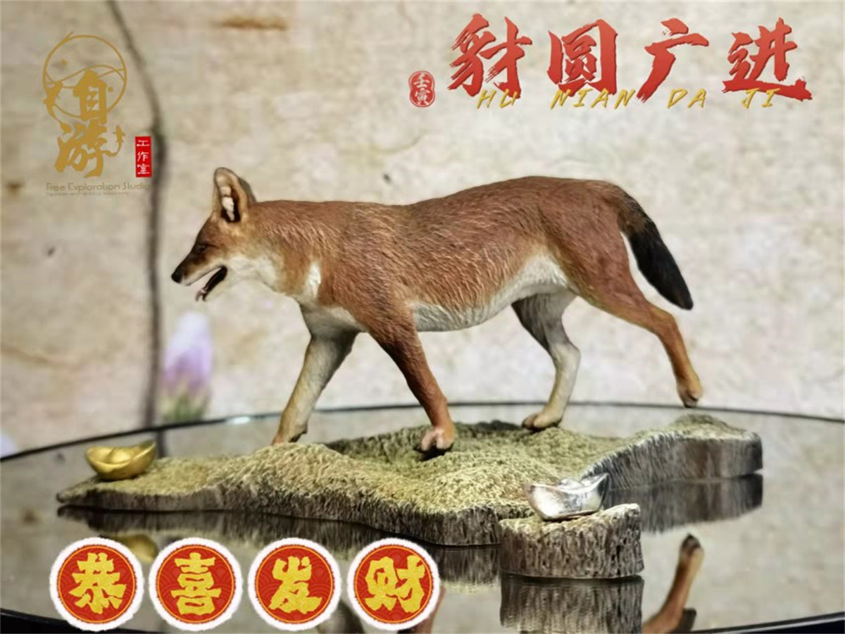 Chinese Dhole and Indian Dhole Model
