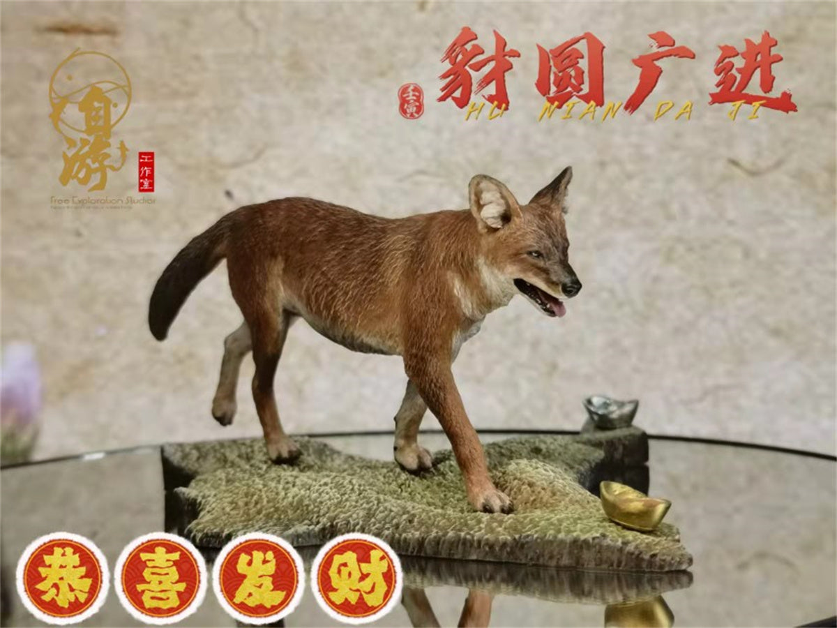 Chinese Dhole and Indian Dhole Model