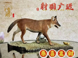 Chinese Dhole and Indian Dhole Model
