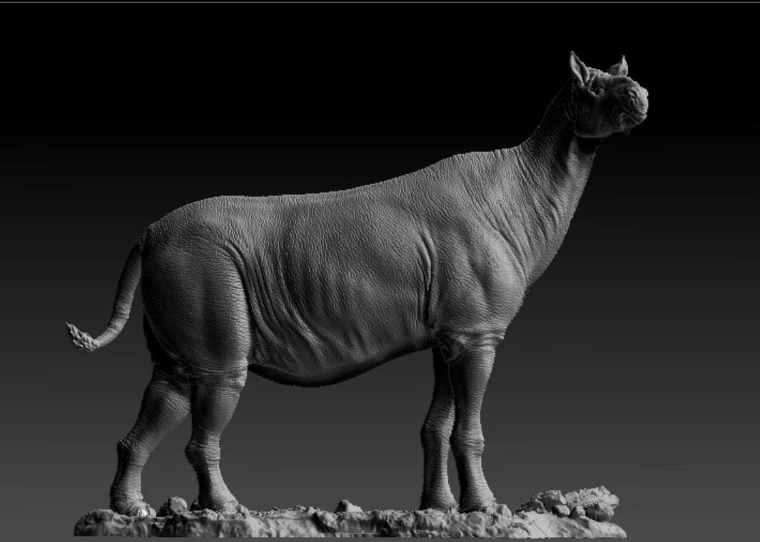 Paraceratherium lepidum Statue