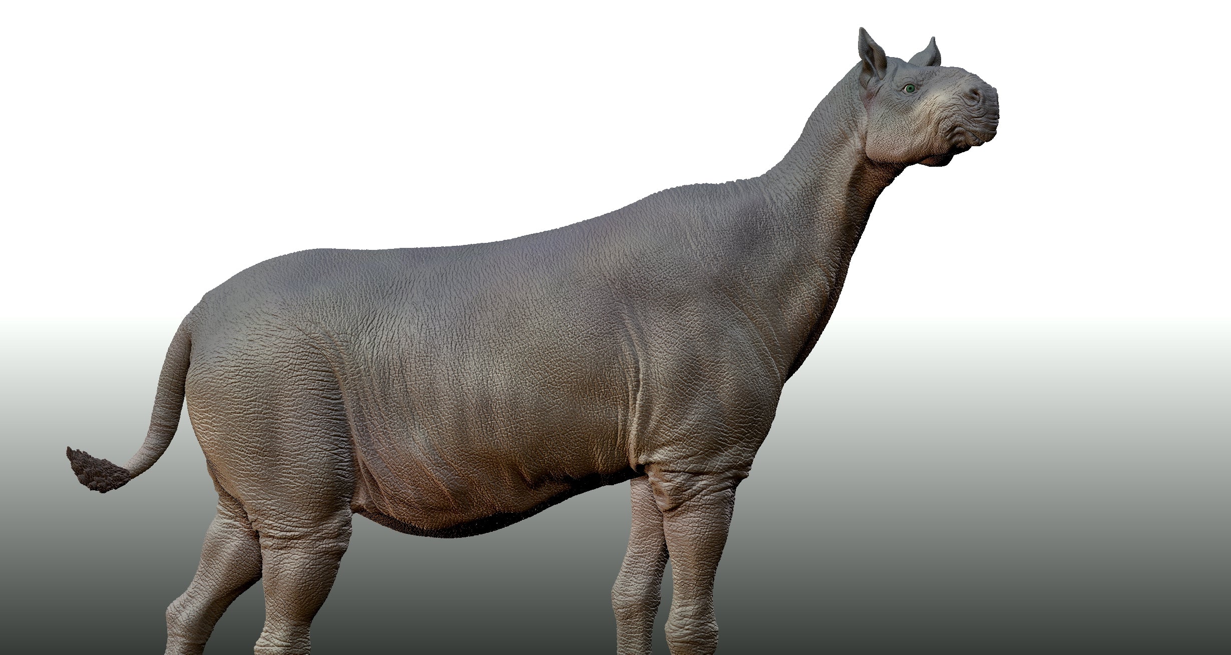 Paraceratherium lepidum Statue