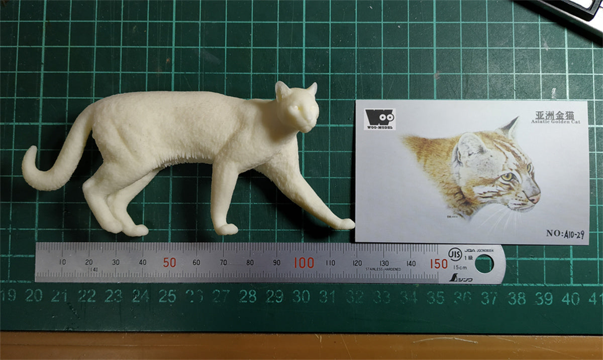 Asiatic Golden Cat Model