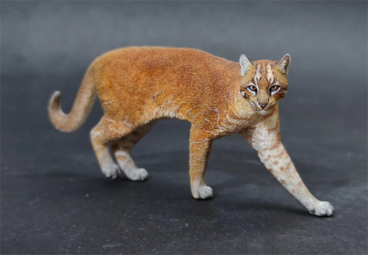 Asiatic Golden Cat Model