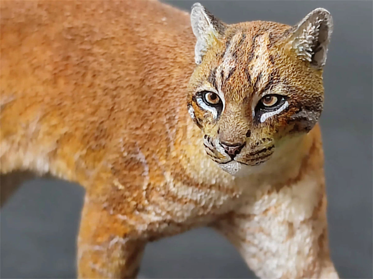 Asiatic Golden Cat Model