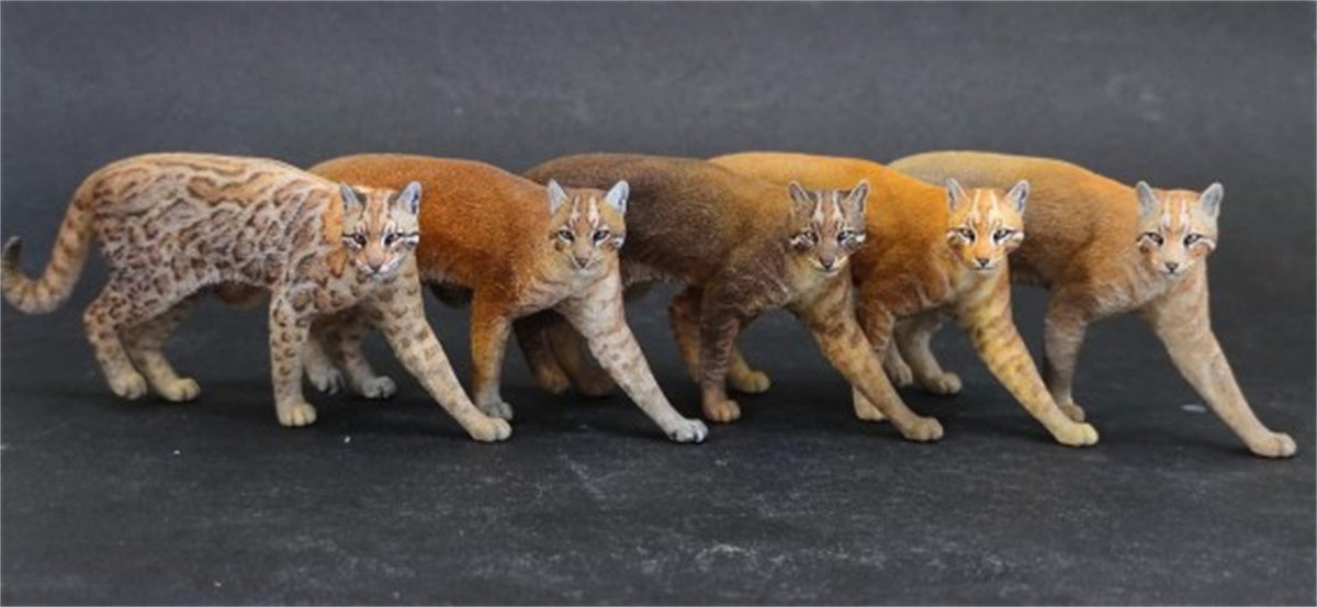 Asiatic Golden Cat Model