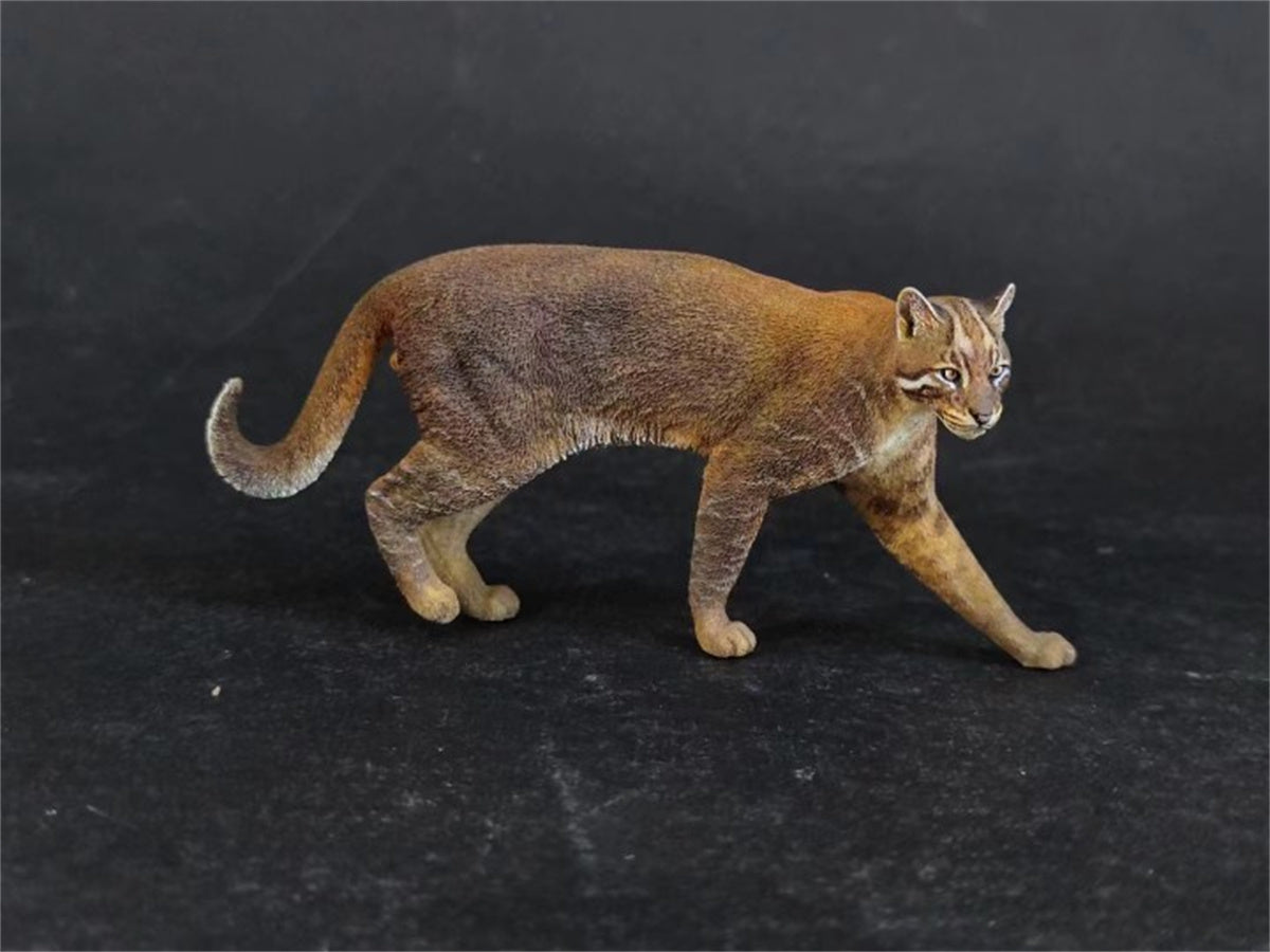 Asiatic Golden Cat Model