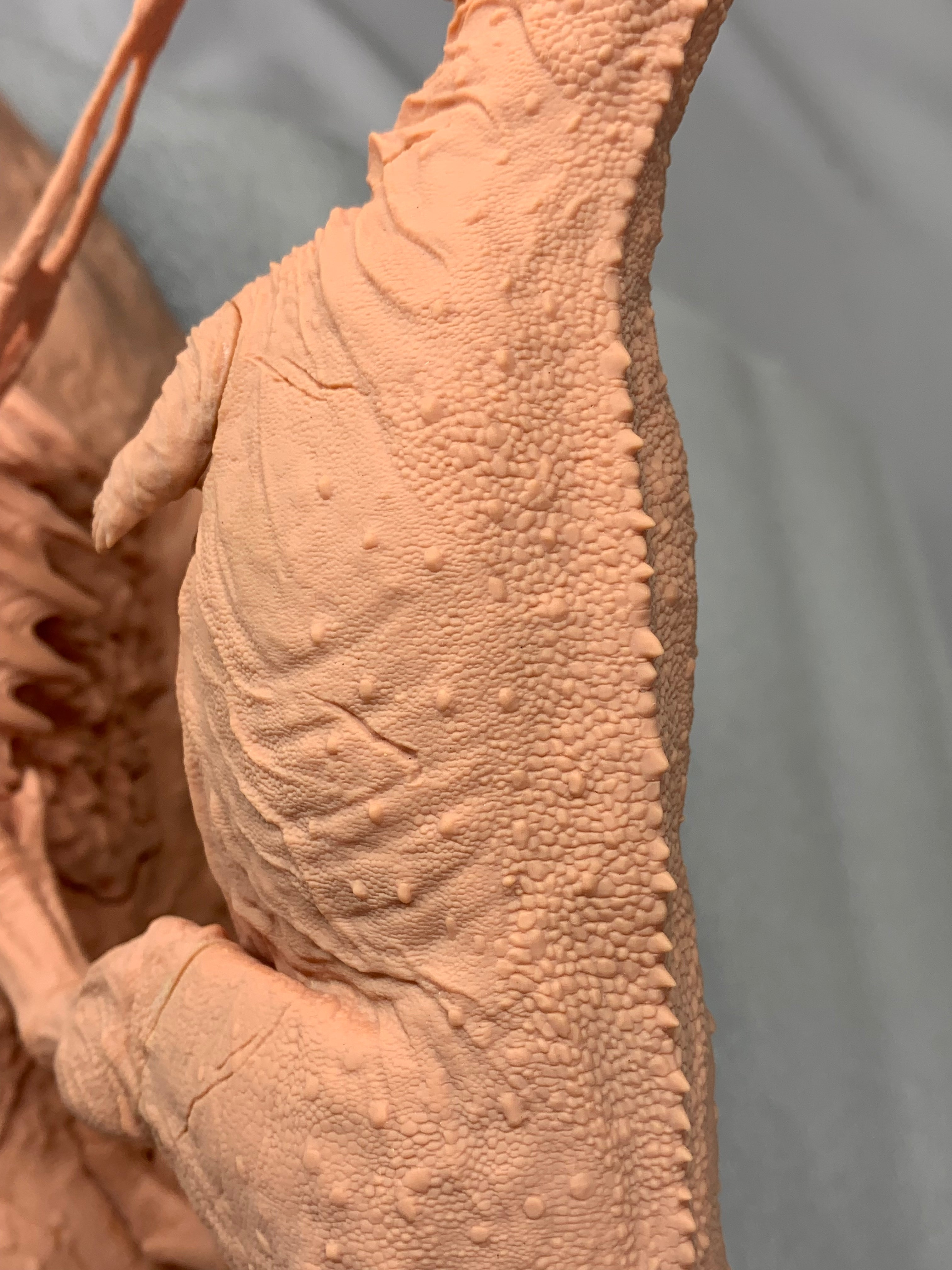 Yuppie Chen 1:20 Scale Majungasaurus Masiakasaurus Statue Unpainted Kit