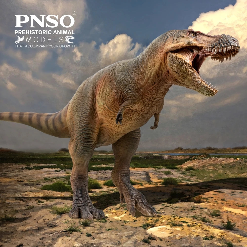 PNSO Luxiong Zhuchengtyrannus Model