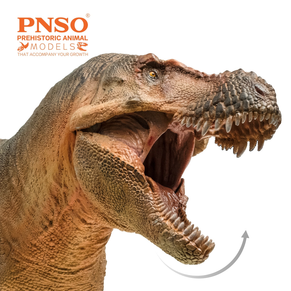 PNSO Luxiong Zhuchengtyrannus Model