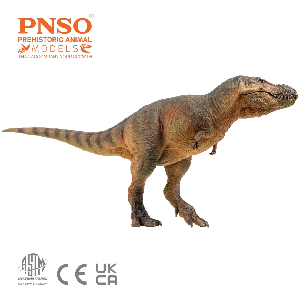 PNSO Luxiong Zhuchengtyrannus Model