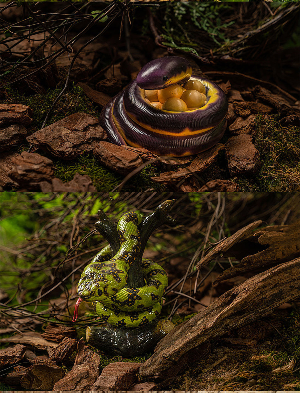 Amphibian Reptile Blind Box Model