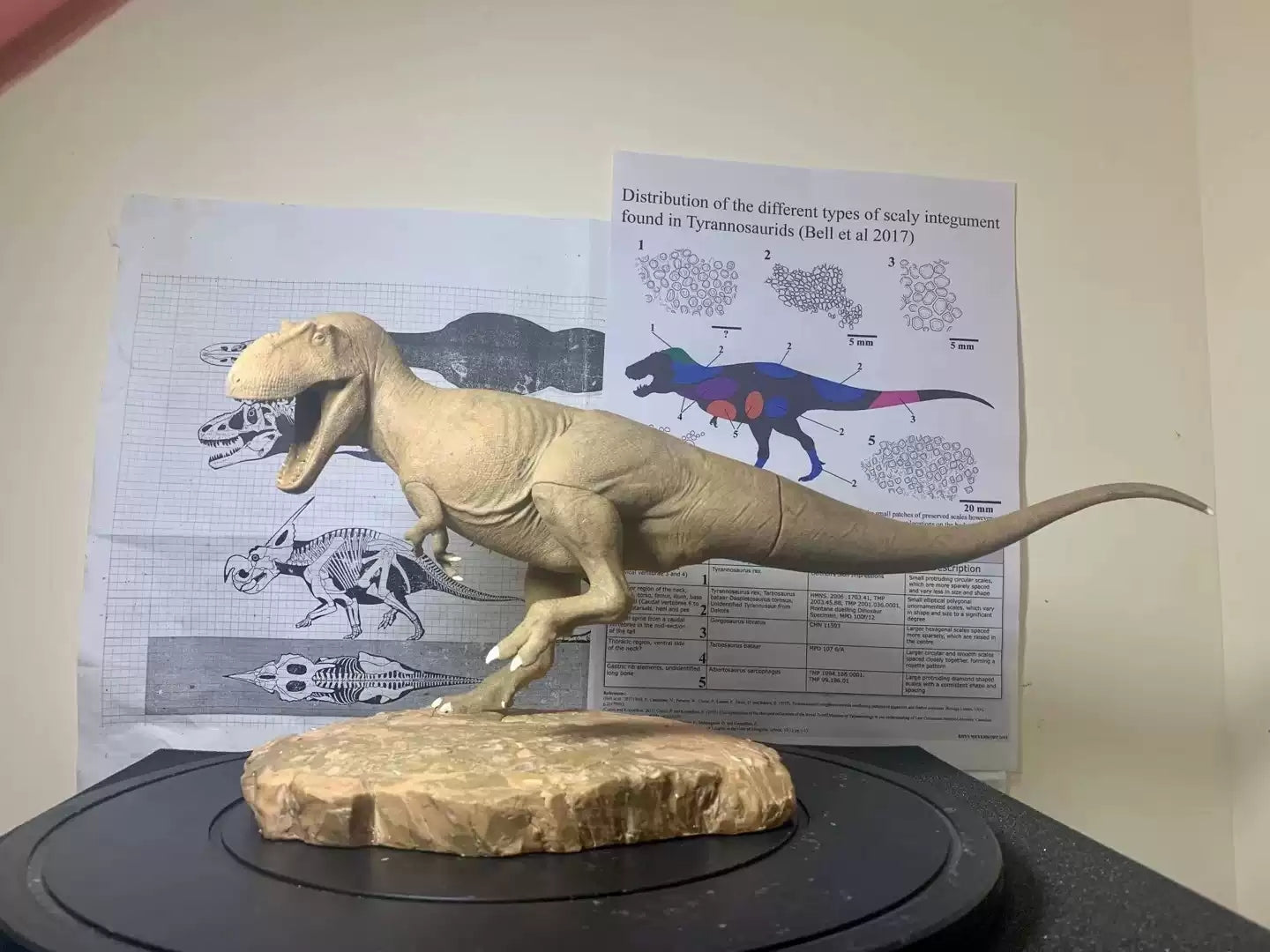 1/20 Scale Daspletosaurus Statue Kit