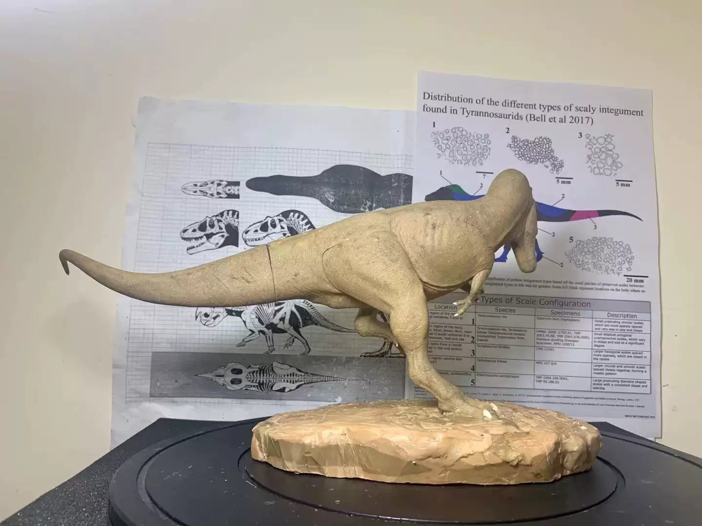 1/20 Scale Daspletosaurus Statue Kit
