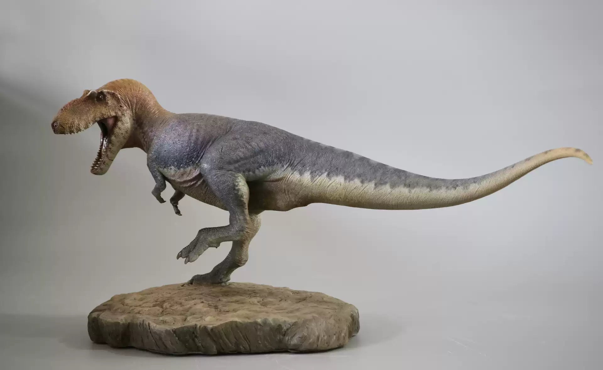 1/20 Scale Daspletosaurus Statue Kit