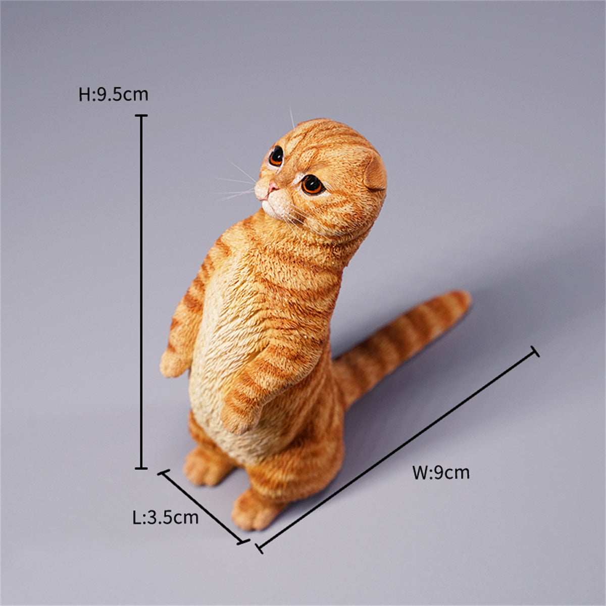 JXK 1/6 Scottish Fold Model