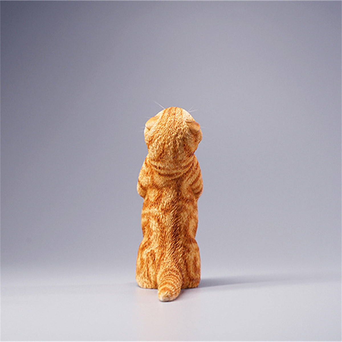 JXK 1/6 Scottish Fold Model