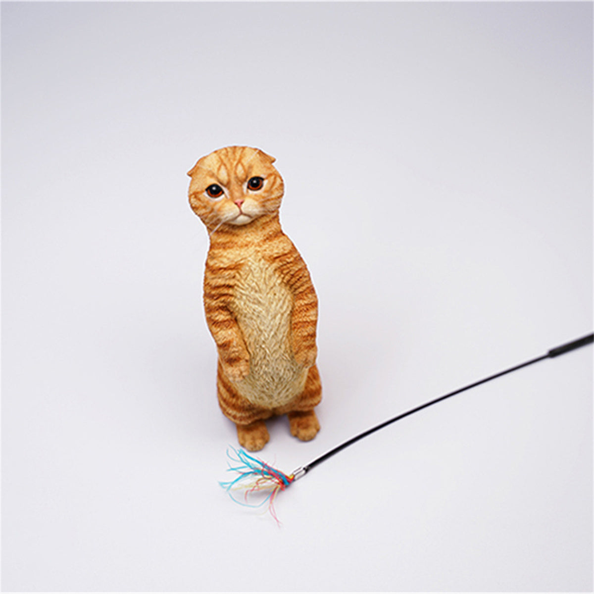 JXK 1/6 Scottish Fold Model