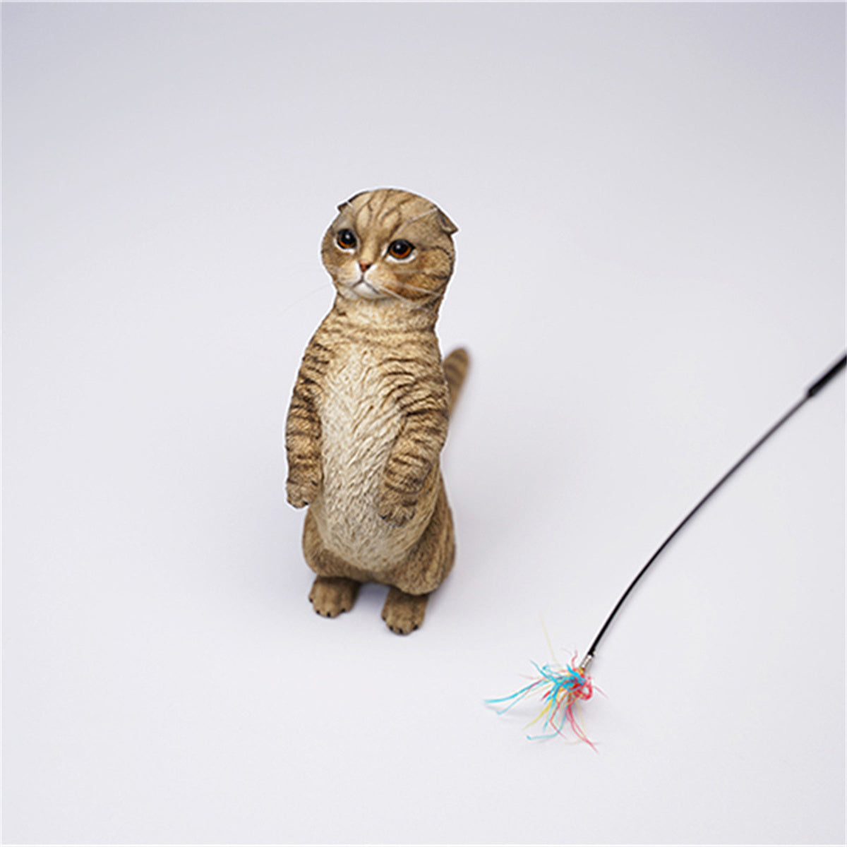 JXK 1/6 Scottish Fold Model