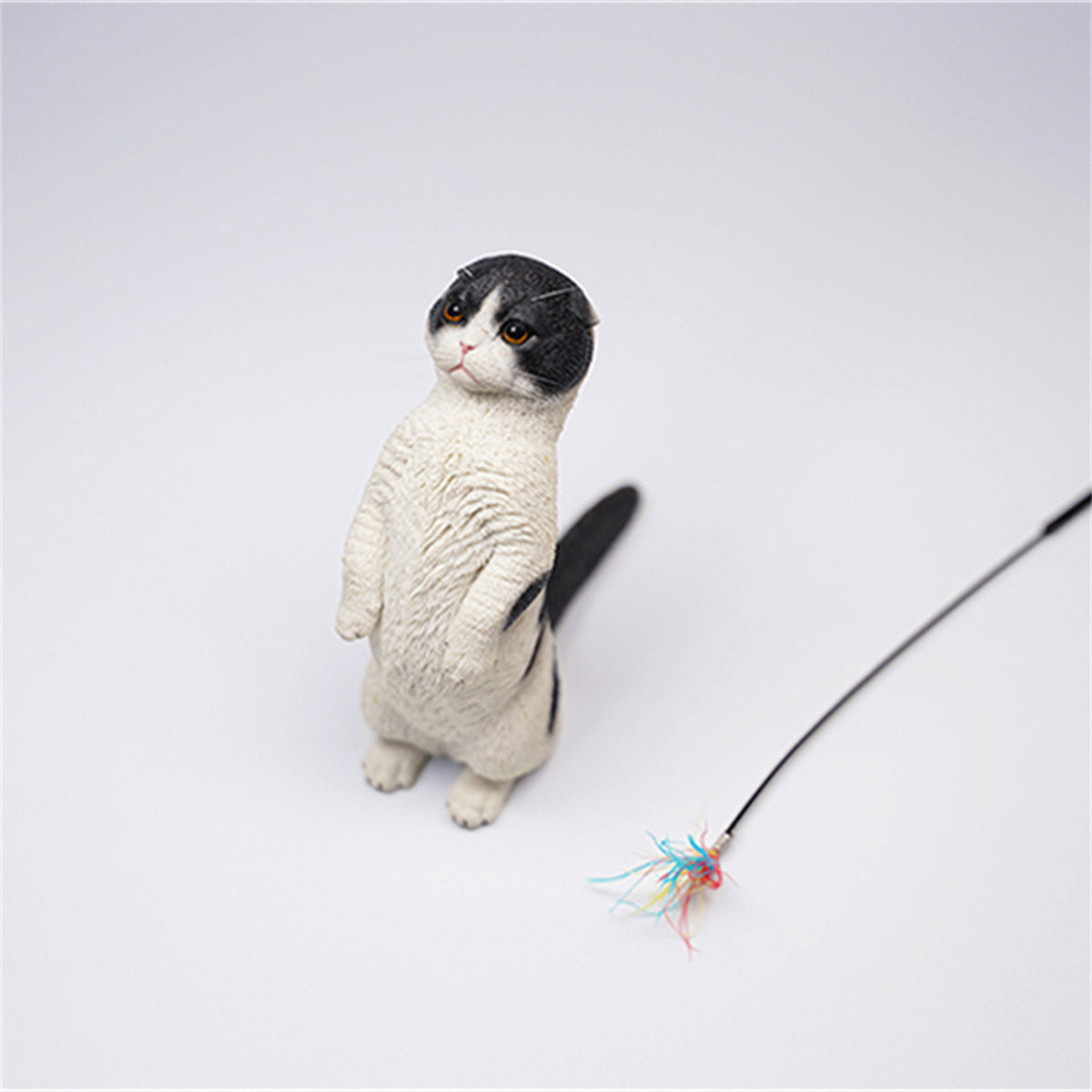 JXK 1/6 Scottish Fold Model