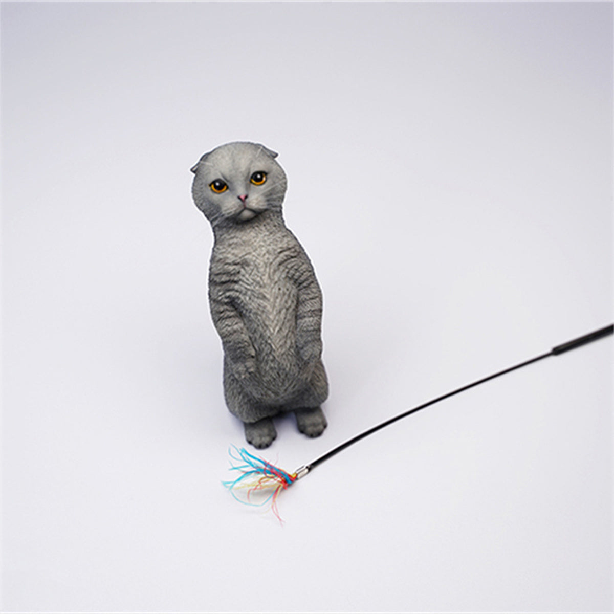 JXK 1/6 Scottish Fold Model
