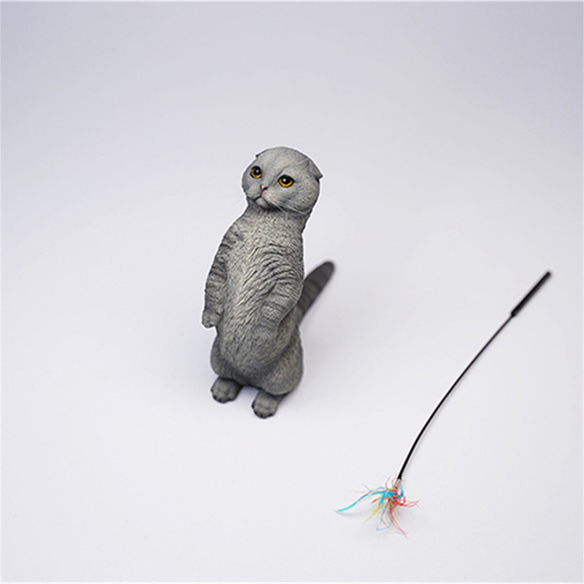 JXK 1/6 Scottish Fold Model