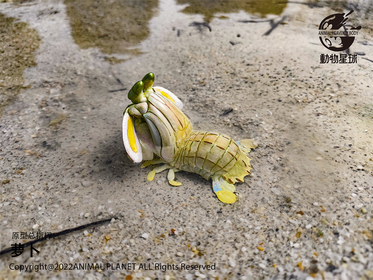 Animal Planet A Series of Laugh and Grow Fat 06 Model