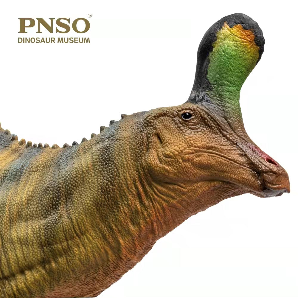 PNSO 1:35 Tsintaosaurus XiaoQin Model